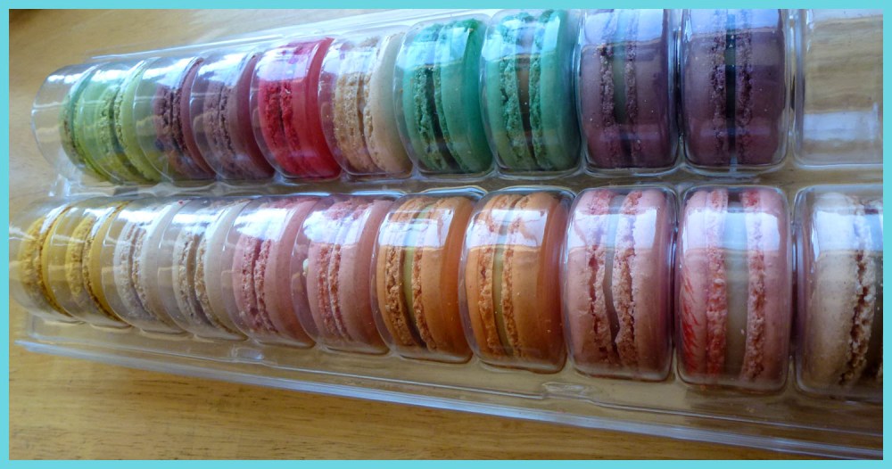 The macarons are housed in a protective plastic container.