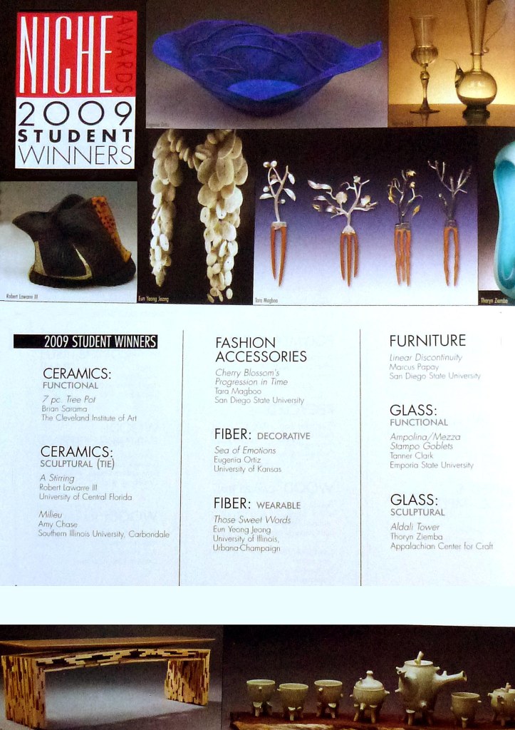 This is the page in the article that features my work in the student division. 